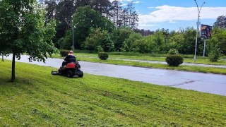 В Заречном стартует вырубка заражённых ясений